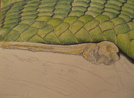 Малюємо пастеллю змію - ярмарок майстрів - ручна робота, handmade