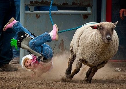 Rodeo - că acesta este un rodeo pe tauri și pe cai