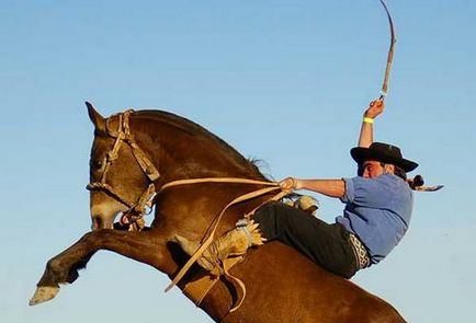 Rodeo - că acesta este un rodeo pe tauri și pe cai