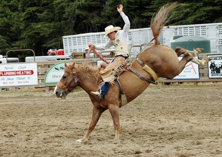 Rodeo - că acesta este un rodeo pe tauri și pe cai