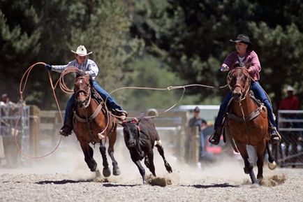 Rodeo - că acesta este un rodeo pe tauri și pe cai