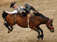 Rodeo - că acesta este un rodeo pe tauri și pe cai