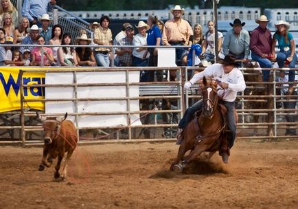 Rodeo - că acesta este un rodeo pe tauri și pe cai