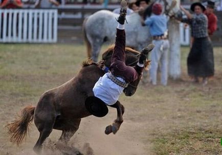 Rodeo - că acesta este un rodeo pe tauri și pe cai
