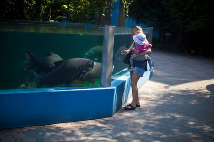 Сафарі парк в Бангкоку - світ сафарі - контактний зоопарк