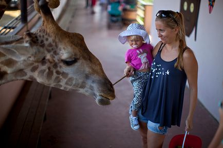 Parcul Safari din Bangkok - lumea safari - grădina zoologică de contact