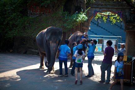 Parcul Safari din Bangkok - lumea safari - grădina zoologică de contact