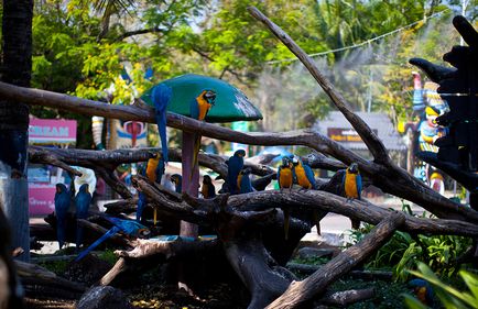 Parcul Safari din Bangkok - lumea safari - grădina zoologică de contact