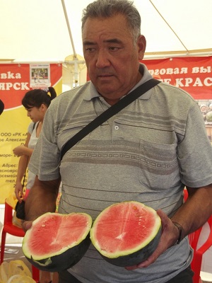 Fermierul din Samara crește pepenele verzi cântărind până la 20 kg