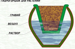 Саморобки гідропоніка своїми руками