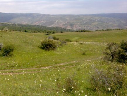 Shamakhy, iunie 2008 (shamakhi, Azerbaijan) - fotografii de pe planeta pământ