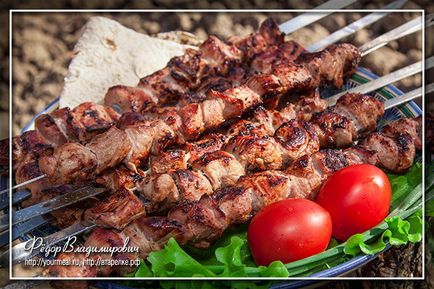 Шашлик з м'яса індички, домашні рецепти