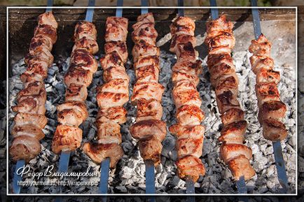 Skewers pulykahús, házi receptek