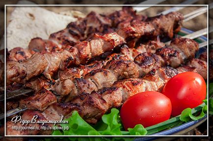 Turtă de carne de shish kebab, rețete de casă