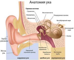 Labyrinthitis tünetek és kezelések