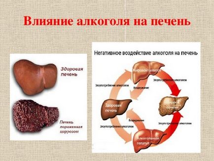 Скільки вивітрюється коньяк з організму 100 або 300 грам