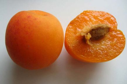 Сливові абрикоси, абрикосові сливи - абрикоси, сливи, персики, гібриди