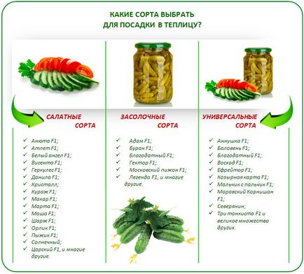 Rețete de castravete sărate pentru iarnă