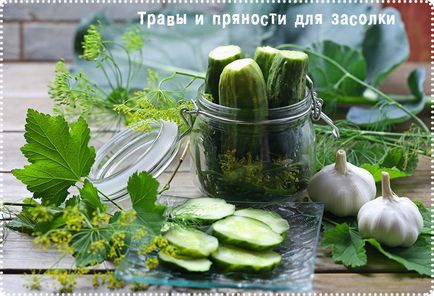 Pickles receptek téli
