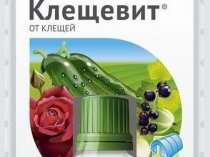 Поради, ніж обробити теплицю восени від павутинного кліща, попелиці, білокрилки, найефективніші