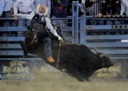 Rodeo modern - știri în fotografii