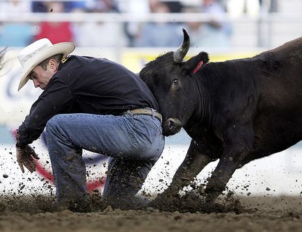 Rodeo modern - știri în fotografii