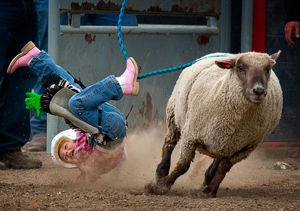 Rodeo modern - știri în fotografii