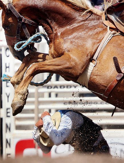 Rodeo modern - știri în fotografii