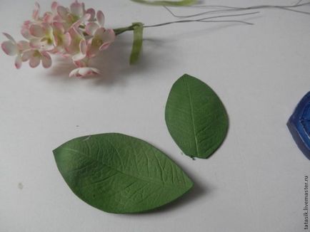 Hozzon létre egy miniatűr virágokat foamirana - Fair Masters - kézzel készített, kézzel készített