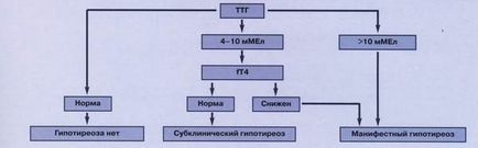 Directory járóbeteg orvos