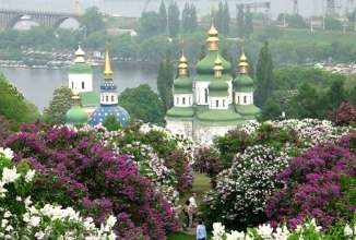 Вірші про бузку