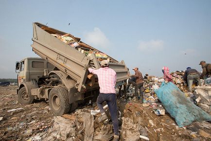 Am aruncat raportul de la cea mai mare haldă de gunoi din Novosibirsk - știri în fotografii