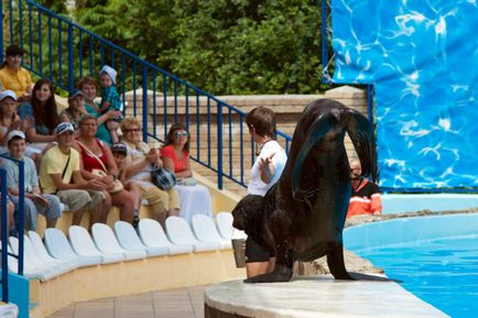 Teatrul animalelor marine Yalta, program, preț