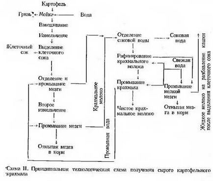 Технологія виробництва крохмалю 1