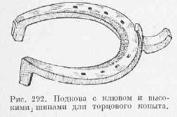 Торцеве копито - все про ветеринарію