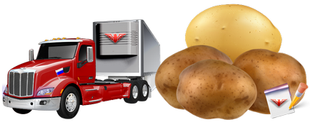 Транспортування картоплі автотранспортом по всейУкаіни, sapsan