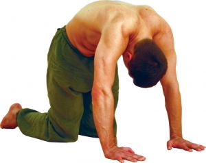 Jóga gyakorlatok a hátsó a jóga segít a gerinc egészséges lesz