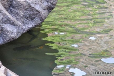 Cascada Dudhsagar