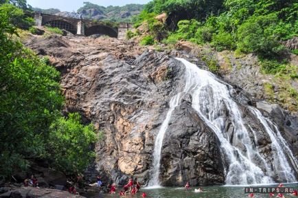 Vízesés Dudhsagar (Bhagwan Mahavir Wildlife) Dudhsagar Falls