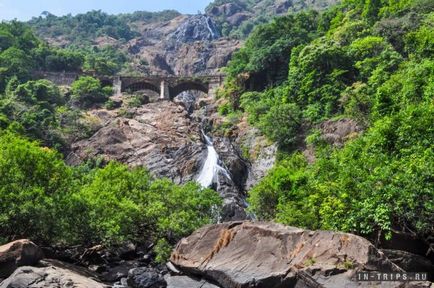 Dudhsagar Falls (félelem az emberek szívesen) Dudhsagar Falls