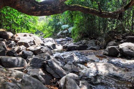 Vízesés Dudhsagar (Bhagwan Mahavir Bhagwan) Dudhsagar Falls