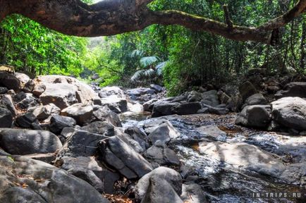 Dudhsagar Falls