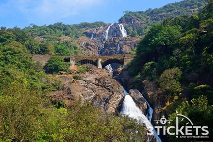 Dudhsagar vízesés és elefánt túrák hol Goa