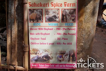 Dudhsagar vízesés és elefánt túrák hol Goa