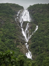 Cascada Dudhsagar - rezervă, konjen, templu - cum să ajungi la cascada dudhsagar