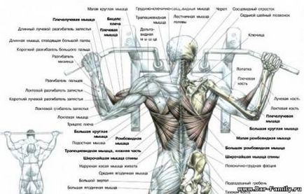 Все про підтягування