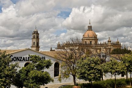 Jerez de la frontera - orașul de vin și cai - foto-blog al călătoriilor în Spania - spania noastră