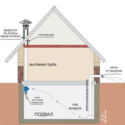 Depozitarea legumelor în pivniță - caracteristici ale depozitării subterane