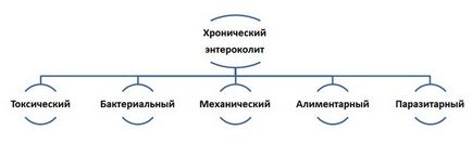 Хронічний ентероколіт причини, симптоми і лікування