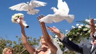 Замовити голубів на весілля в Коростені, ціна, запуск голубів на весіллі, фото